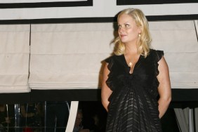 Amy Poehler, black dress, necklace, earrings